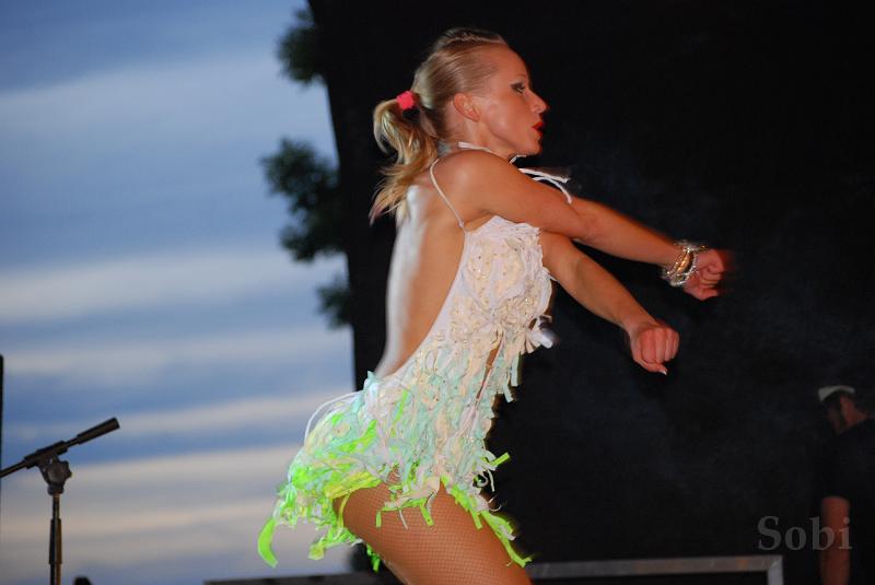 koncert_flinta046.JPG