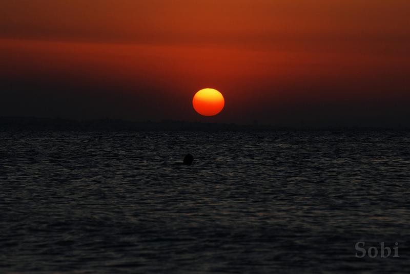 tunisie045.JPG