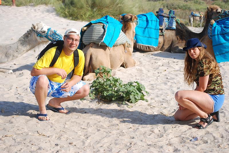 tunisie084.JPG
