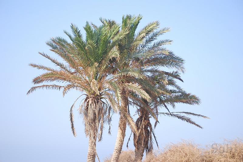 tunisie088.JPG