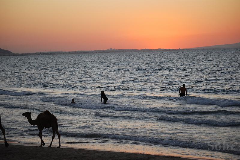 tunisie178.JPG